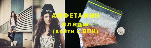 дмт Алзамай
