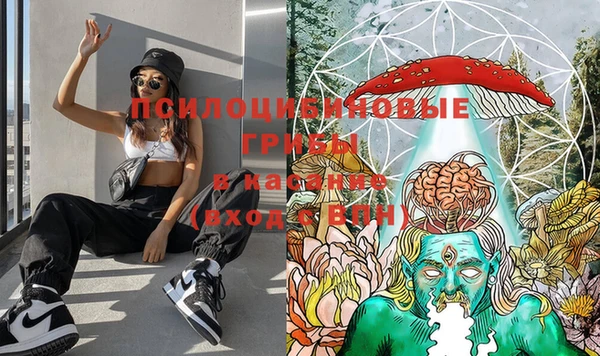 не бодяженный Алексин