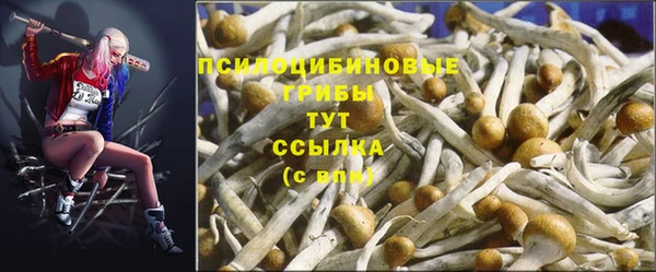 дмт Алзамай
